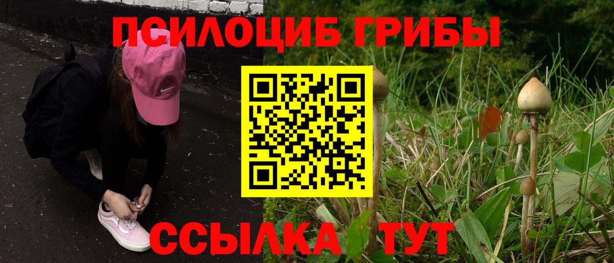 Галлюциногенные грибы Psilocybine cubensis Воркута