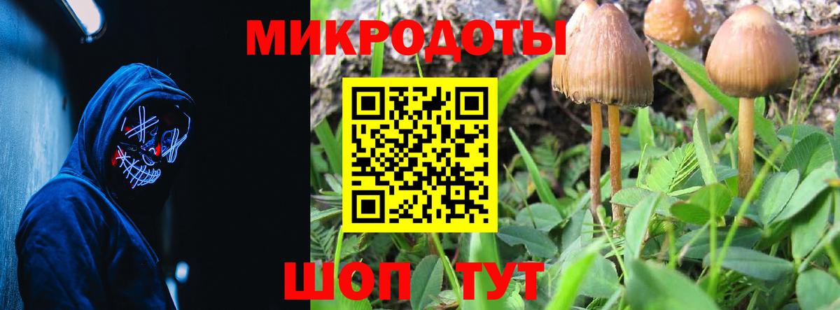 Воркута  Псилоцибиновые грибы Magic Shrooms  Вход с VPN 